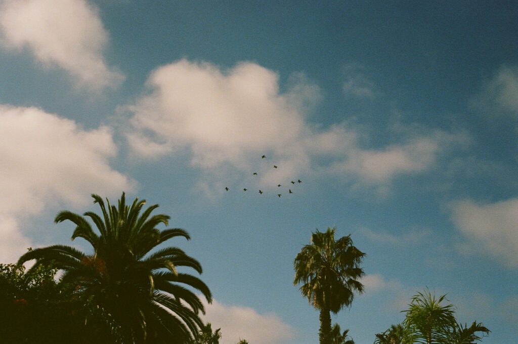 La jolla ocean views